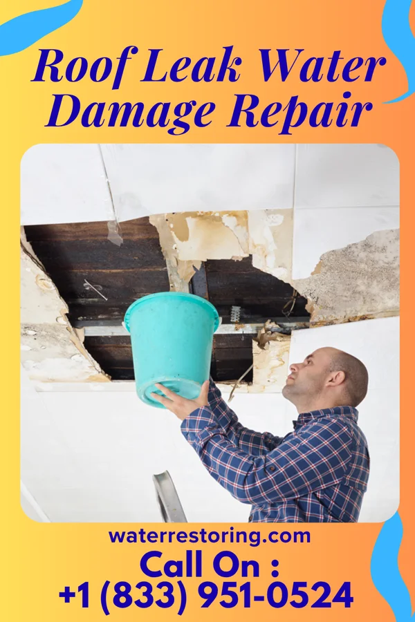 Roof Leak Water Damage Repair in Encinal, NM