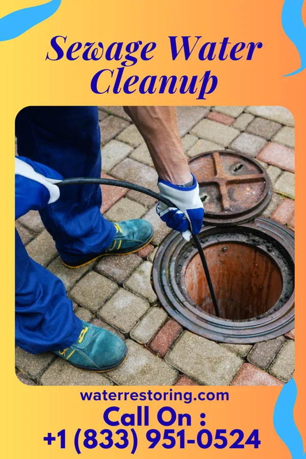 Sewage Water Cleanup in Encinal, NM